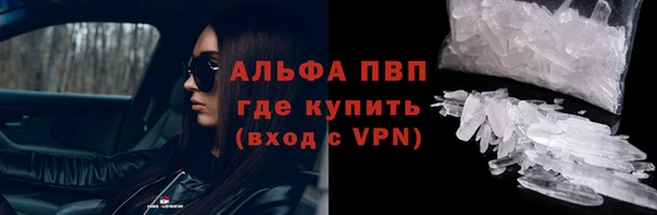 мяу мяу мука Баксан