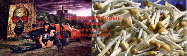 ECSTASY Балабаново