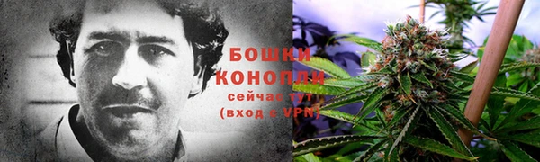 PSILOCYBIN Армянск