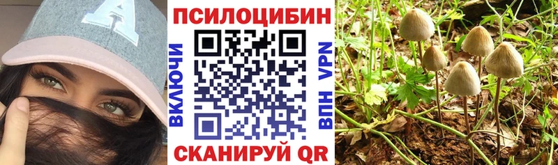 Псилоцибиновые грибы MAGIC MUSHROOMS мориарти формула Усть-Джегута