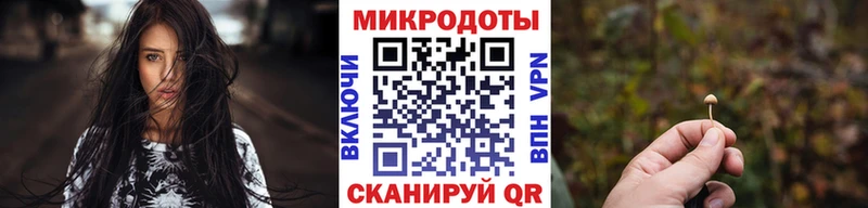 Галлюциногенные грибы Psilocybine cubensis Усть-Джегута